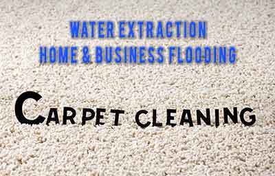 new braunfels carpet cleaning pros water extraction